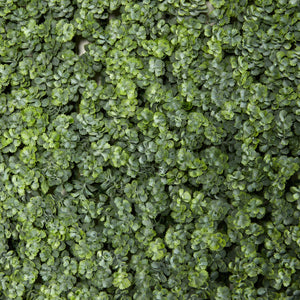 20” Succulent Artificial Wall Mat (Indoor/Outdoor) (Set of 2)