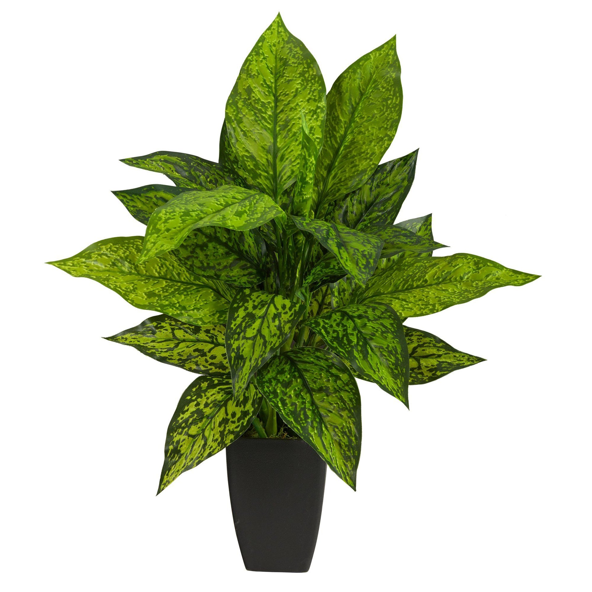 21” Dieffenbachia Artificial Plant in Black Planter – Tuesday Morning