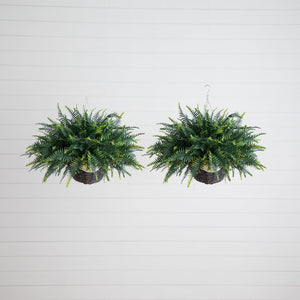 21" UV Resistant Artificial Fern in Hanging Basket (Indoor/Outdoor) - Set of 2