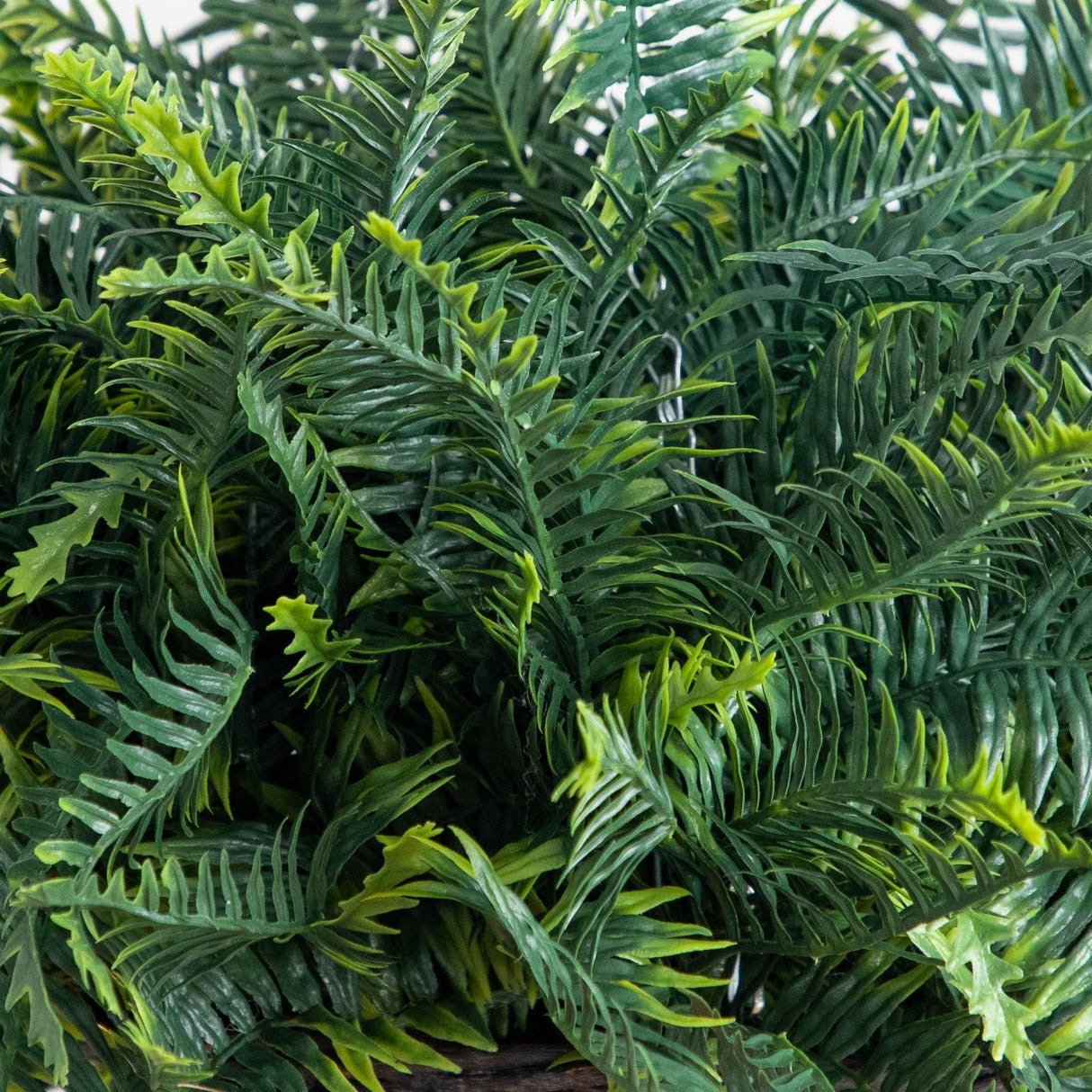 21" UV Resistant Artificial Fern in Hanging Basket (Indoor/Outdoor) - Set of 2