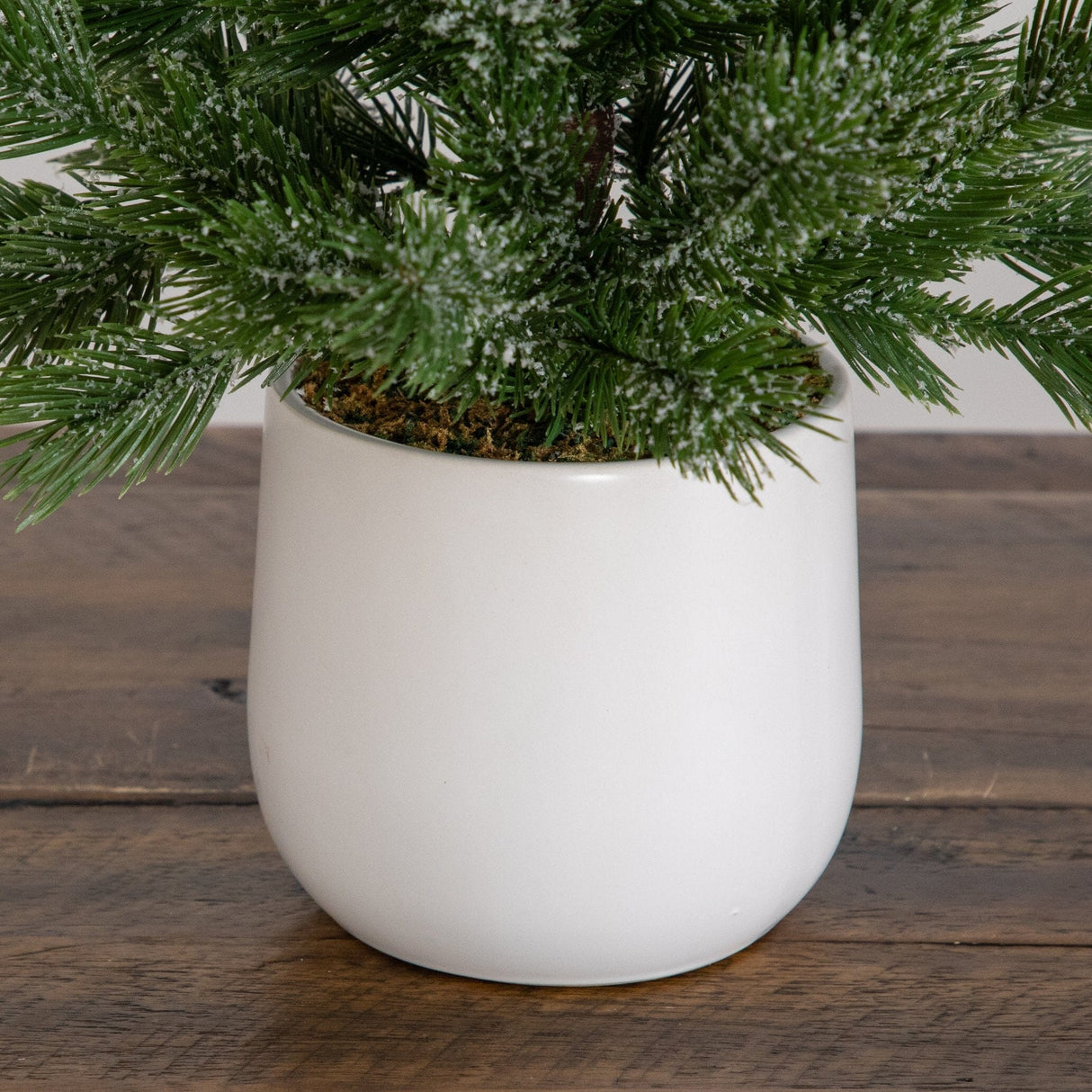 22” Artificial Frosted Christmas Tree in White Ceramic Planter