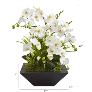 23” Phalaenopsis Orchid and Succulent Artificial Arrangement in Vase