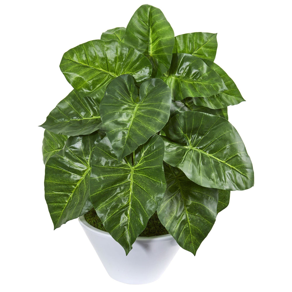 23” Taro Artificial Plant in White Vase