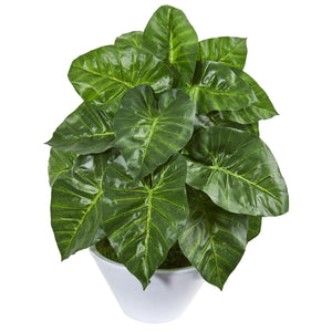 23” Taro Artificial Plant in White Vase