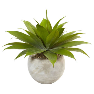 24" Agave in Sand Colored Bowl"