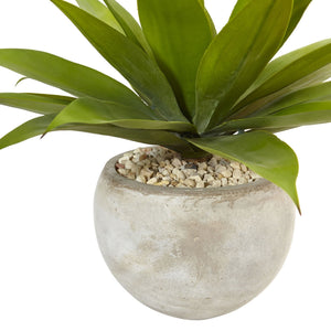 24" Agave in Sand Colored Bowl"