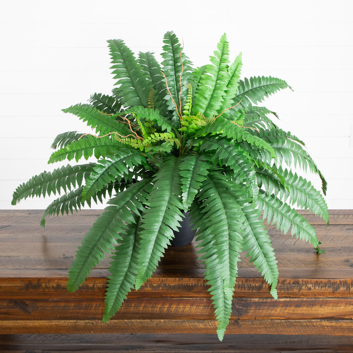 24” Artificial Self-Shaped Boston Fern Plant in Black Planter