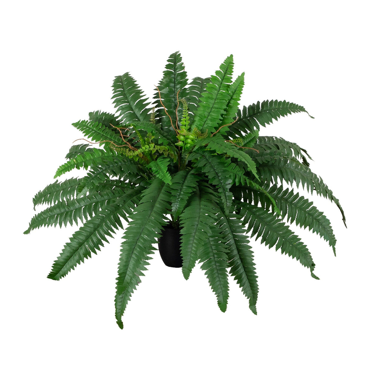 24” Artificial Self-Shaped Boston Fern Plant in Black Planter