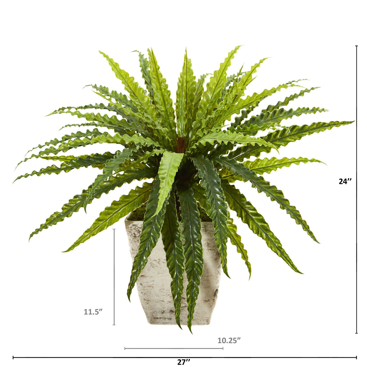 24” Asplenium Artificial Plant in Country White Planter