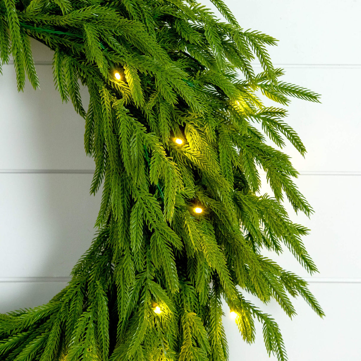 24" Pre-Lit Artificial Real Touch Norfolk Island Pine Wreath with 50 Warm White LED Lights and Natural Look