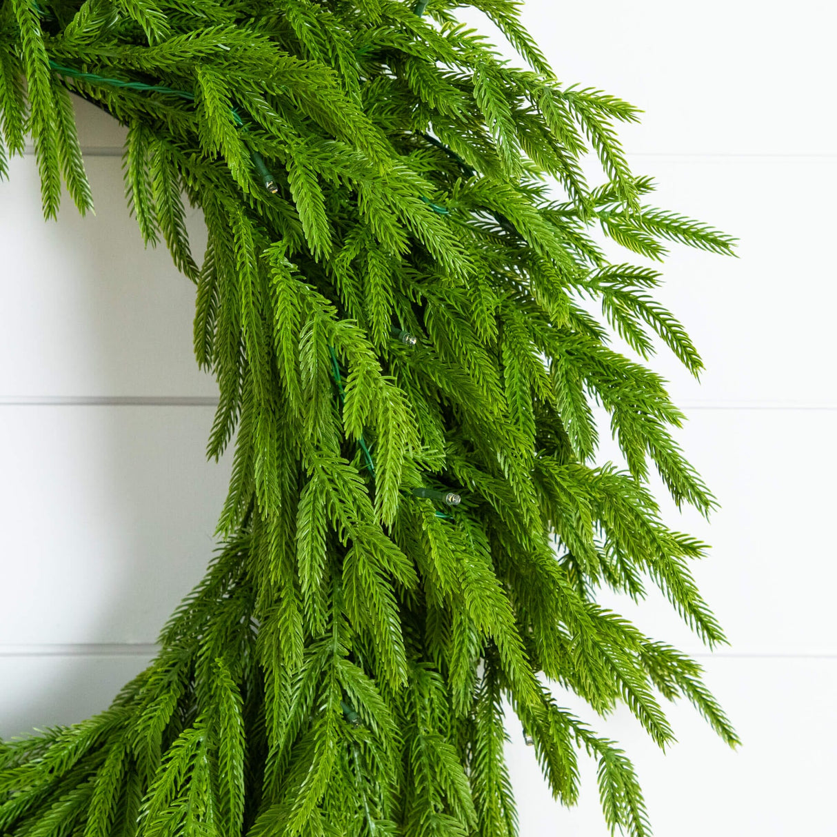24" Pre-Lit Artificial Real Touch Norfolk Island Pine Wreath with 50 Warm White LED Lights and Natural Look