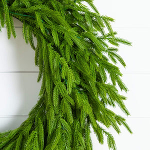 24" Pre-Lit Artificial Real Touch Norfolk Island Pine Wreath with 50 Warm White LED Lights and Natural Look
