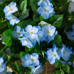 24" UV Resistant Artificial Hydrangea Hanging Plant (Indoor/Outdoor) - Set of 2