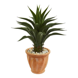 2.5' Agave Artificial Plant in Terra Cotta Planter