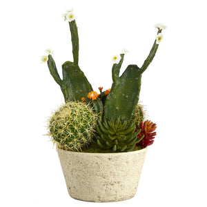26” Cactus Garden Artificial Plant in White Planter