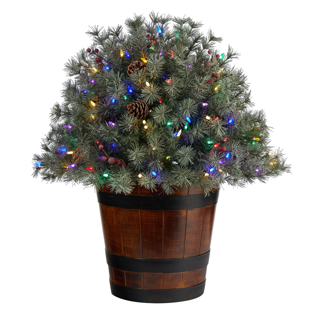 26” Flocked Shrub with Pinecones, 150 Multicolored LED Lights and 280 Branches in Planter
