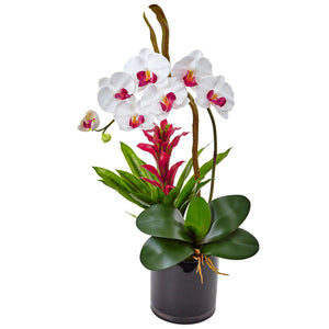 26” Orchid and Bromeliad in Glossy Black Cylinder