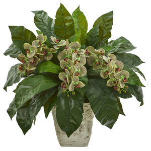 26” Phalaenopsis Orchid and Fern Plant in White Planter
