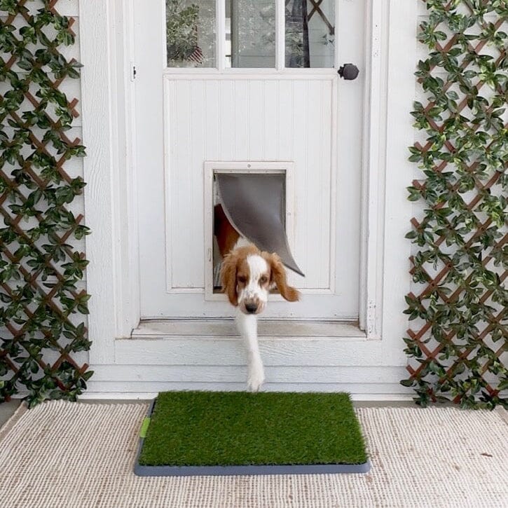 26.7" x 16.5" UV Resistant Artificial Pet Potty Grass Training Pad (Indoor/Outdoor)
