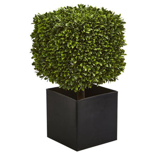 27” Boxwood Artificial Plant in Black Planter (indoor/Outdoor)