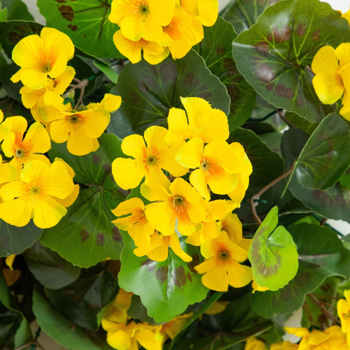 29" UV Resistant Artificial Geranium Hanging Plant - Yellow (Indoor/Outdoor) - Set of 2