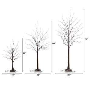 3' 5' 6' Artificial Brown Birch Trees with Warm White LED Lights - Set of 3