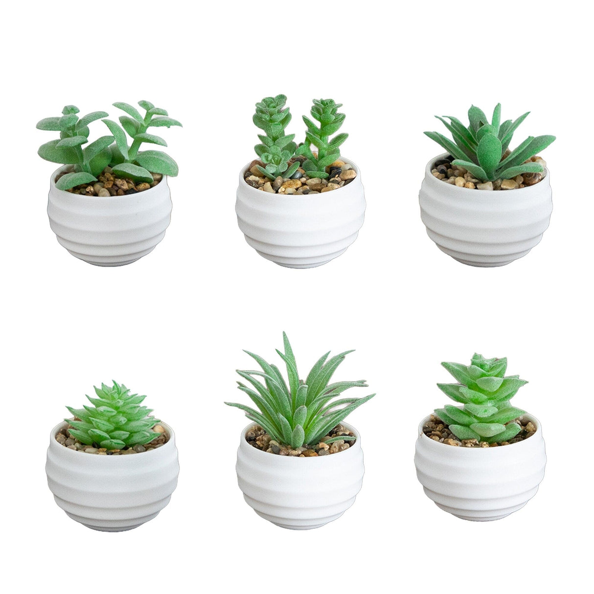 3" Artificial Mini Succulent Plants in Decorative White Oval Planters - Set of 6