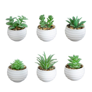 3" Artificial Mini Succulent Plants in Decorative White Oval Planters - Set of 6