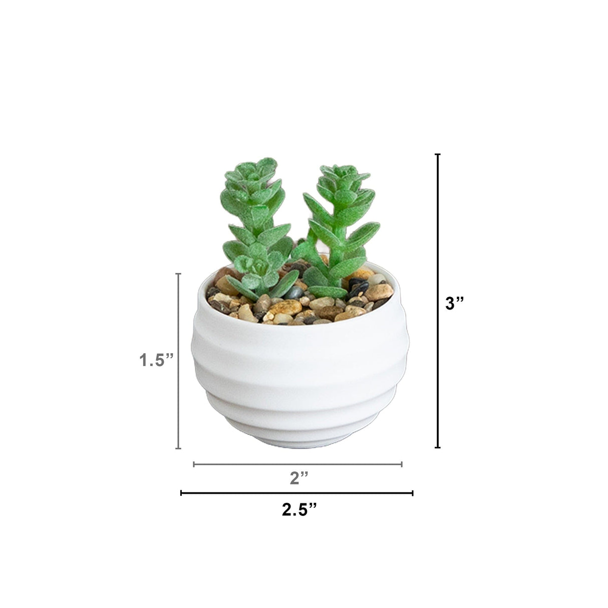 3" Artificial Mini Succulent Plants in Decorative White Oval Planters - Set of 6