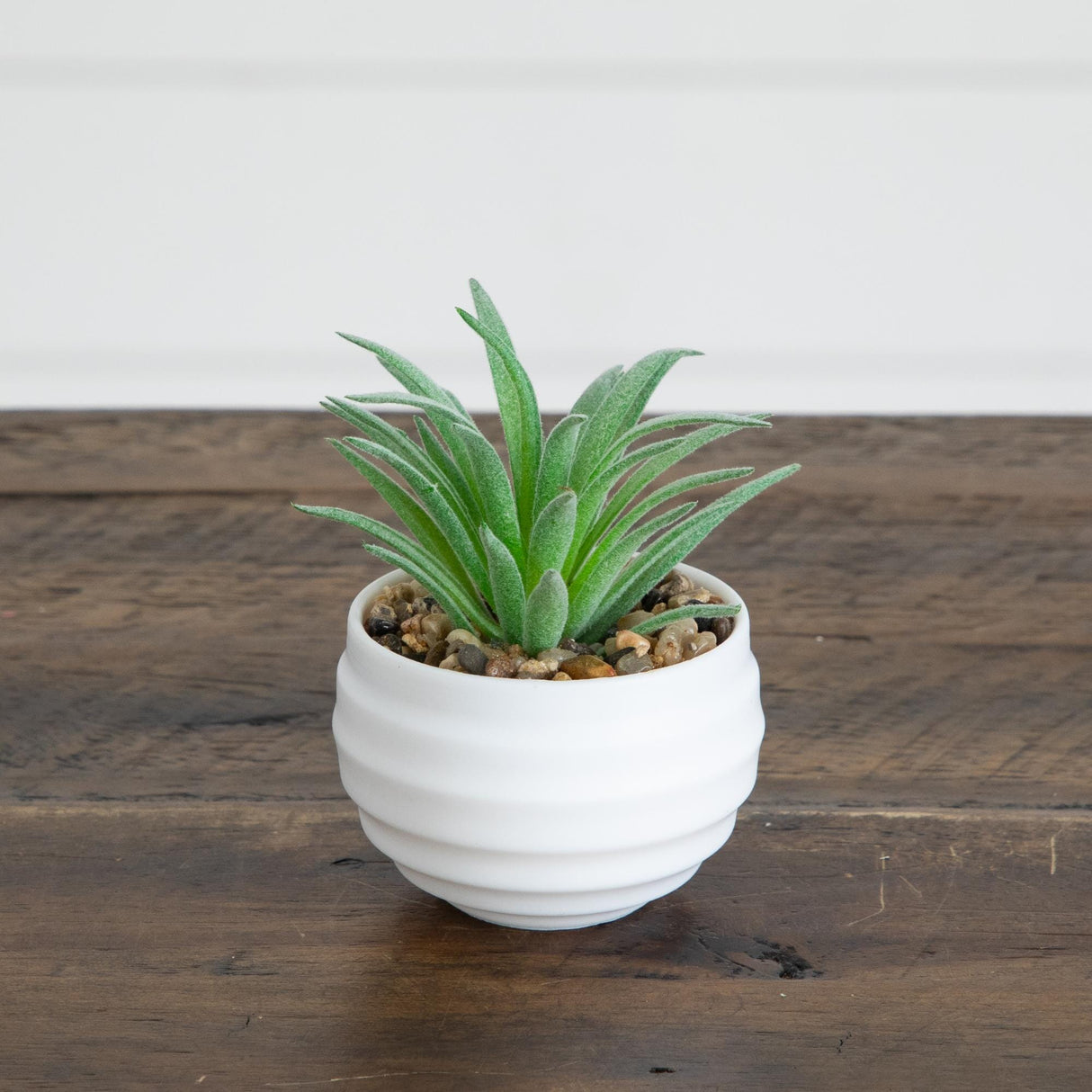 3" Artificial Mini Succulent Plants in Decorative White Oval Planters - Set of 6