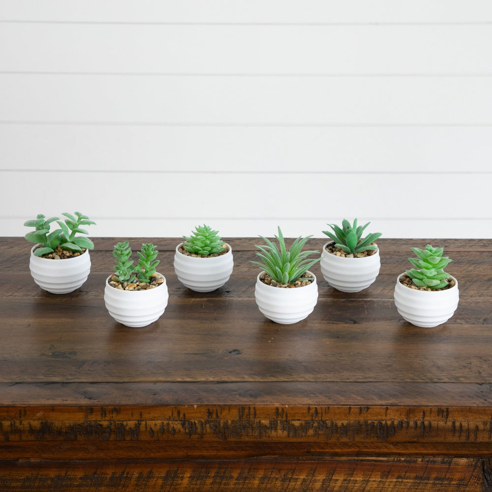 3" Artificial Mini Succulent Plants in Decorative White Oval Planters - Set of 6