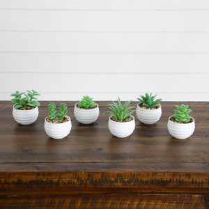 3" Artificial Mini Succulent Plants in Decorative White Oval Planters - Set of 6