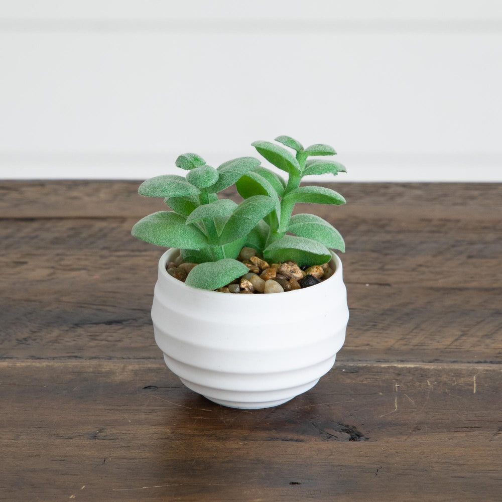3" Artificial Mini Succulent Plants in Decorative White Oval Planters - Set of 6