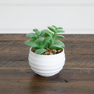 3" Artificial Mini Succulent Plants in Decorative White Oval Planters - Set of 6