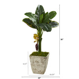3’ Banana Artificial Tree in Country White Planter