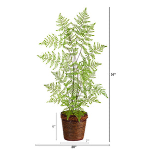 3’ Ruffle Fern Artificial Tree in Basket