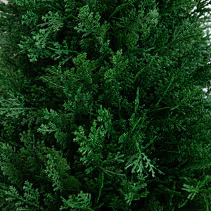3' UV Resistant Artificial Cedar Plant with Integrated Ground Stake (Indoor/Outdoor) - Set of 2