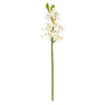30” Cymbidium Orchid Artificial Flower (Set of 6)