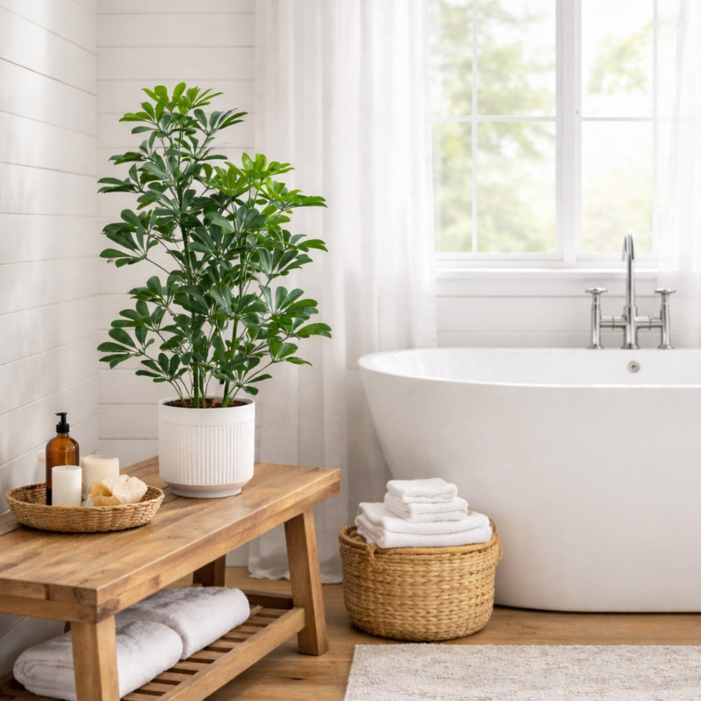 31” UV Resistant Artificial Schefflera Tree in White Decorative Planter (Indoor/Outdoor)