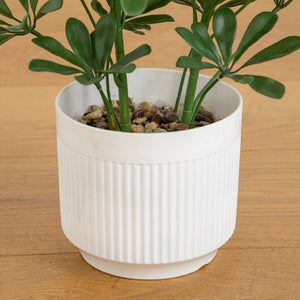31” UV Resistant Artificial Schefflera Tree in White Decorative Planter (Indoor/Outdoor)