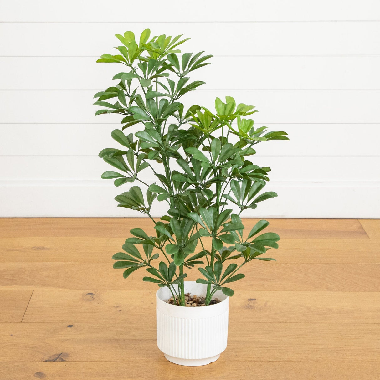 31” UV Resistant Artificial Schefflera Tree in White Decorative Planter (Indoor/Outdoor)