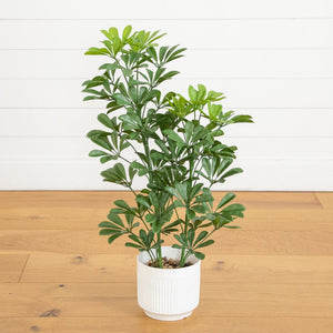 31” UV Resistant Artificial Schefflera Tree in White Decorative Planter (Indoor/Outdoor)