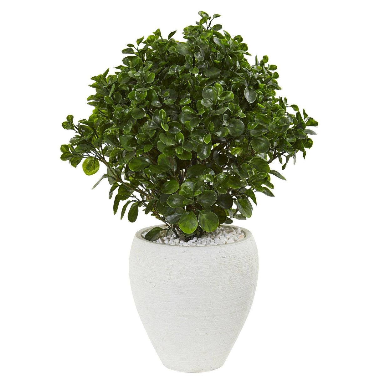 32” Peperomia Artificial Plant in White Planter (Indoor/Outdoor)