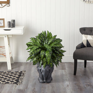 33” Silver King Artificial Plant in Black Elephant Shaped Planter