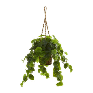 34” Peperomia Artificial Plant in Hanging Basket (Real Touch)