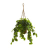 34” Peperomia Artificial Plant in Hanging Basket (Real Touch)