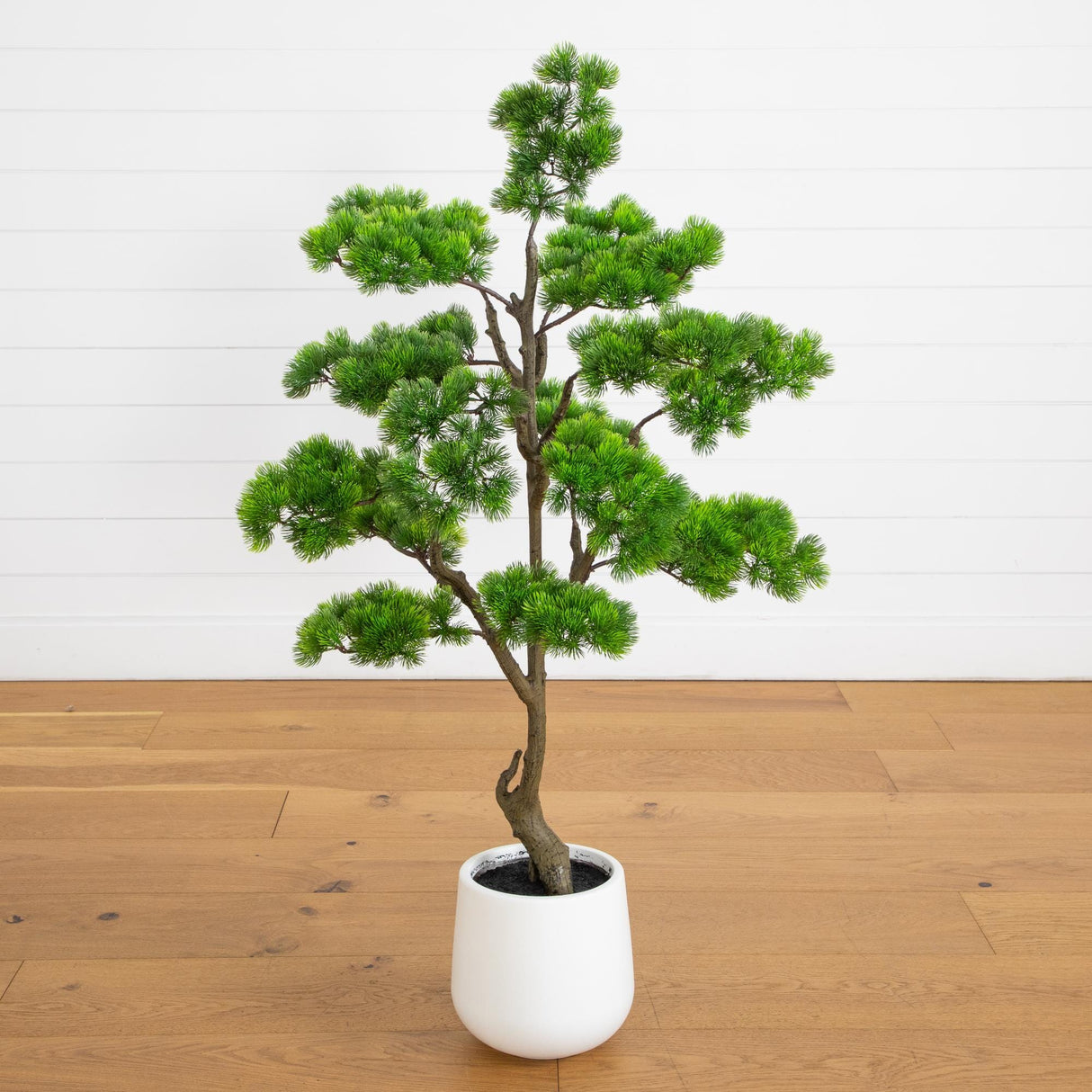 3.5' Artificial Bonsai Style Cedar Tree in Decorative White Planter