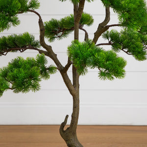 3.5' Artificial Bonsai Style Cedar Tree in Decorative White Planter