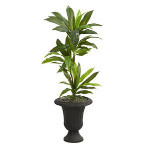 3.5’ Dracaena Artificial Plant in Charcoal Urn (Real Touch)