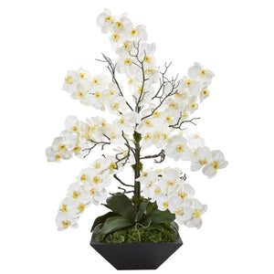 35” Mixed Phalaenopsis Orchid Artificial Arrangement in Black Vase